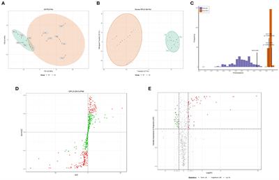 Integrated ONT Full-Length Transcriptome and Metabolism Reveal the Mechanism Affecting Ovulation in Muscovy Duck (Cairina moschata)